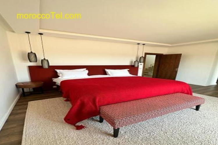 Les Palms De L’Atlas