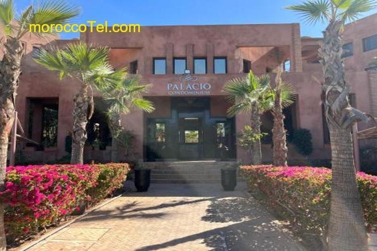 PALMA Appartement dans la palmeraie