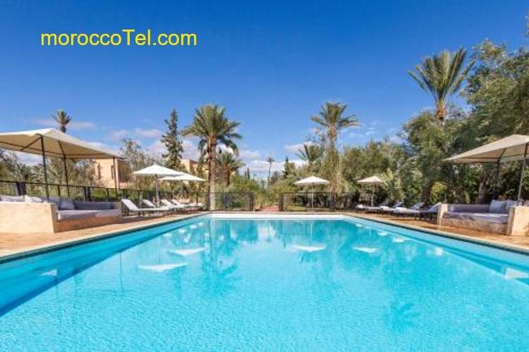 Authentic Family House in the Marrakesh palm grove