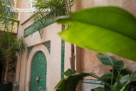 Riad Dar Habiba by Garden Wonders