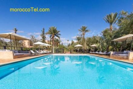 Authentic Family House in the Marrakesh palm grove